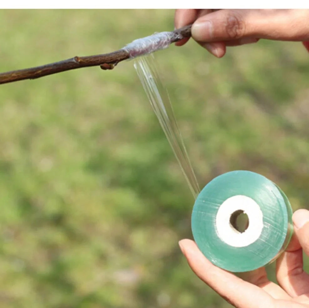 Roll of 2cm wide grafting tape for fruit tree propagation with 100m length
