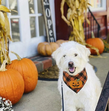 Orange plaid Halloween dog bandana with white skeleton and pumpkin felt appliques