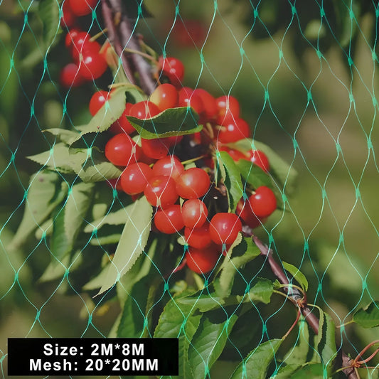 Green plastic garden bird net draped over plants showing mesh pattern and size options