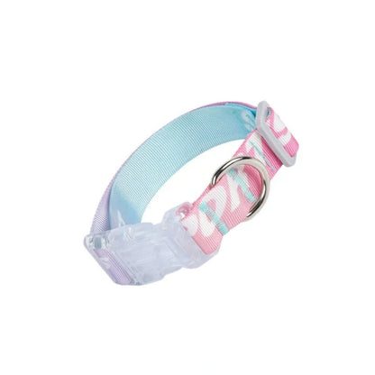 Adjustable nylon dog collar with cartoon gradient colour printing for dogs 2-10kg