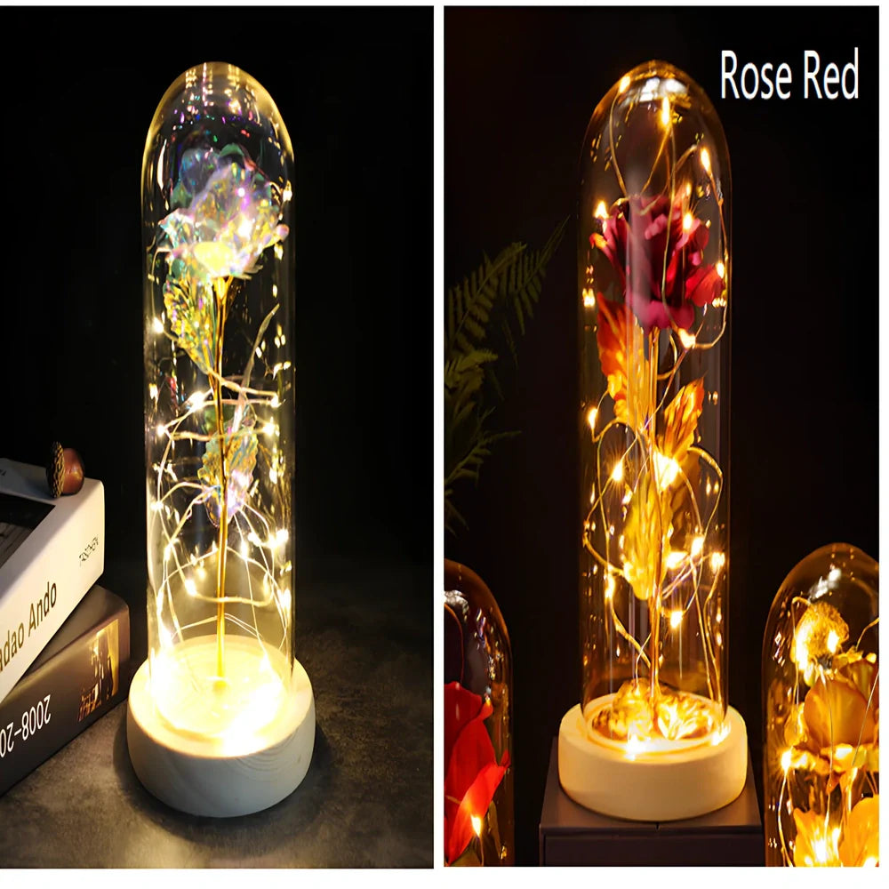 Little Prince rose arrangement under 20x9cm glass dome with gold foil flowers