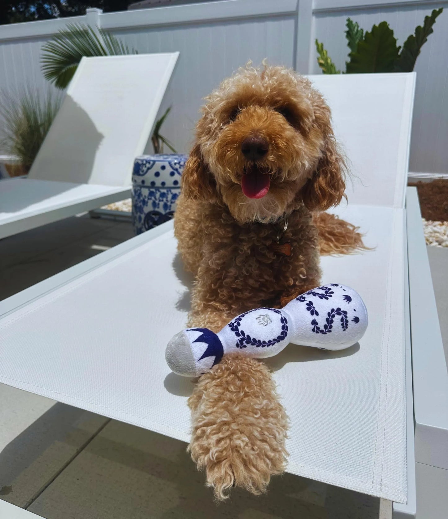 Red and white plush dog toy shaped like a tequila bottle with squeaker