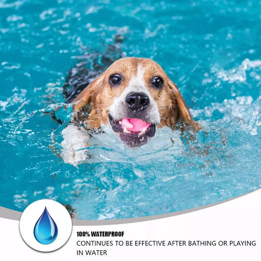 An 8-month protection anti-flea and tick collar for small cats and dogs, designed with adjustable and water-resistant features for pet safety and comfort.