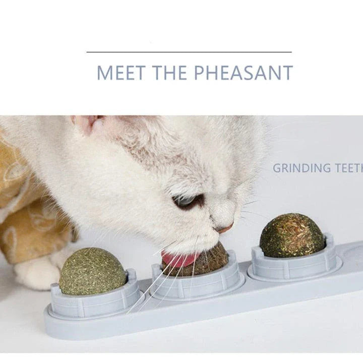 A kit containing all-natural catnip for interactive playtime and stimulation for cats