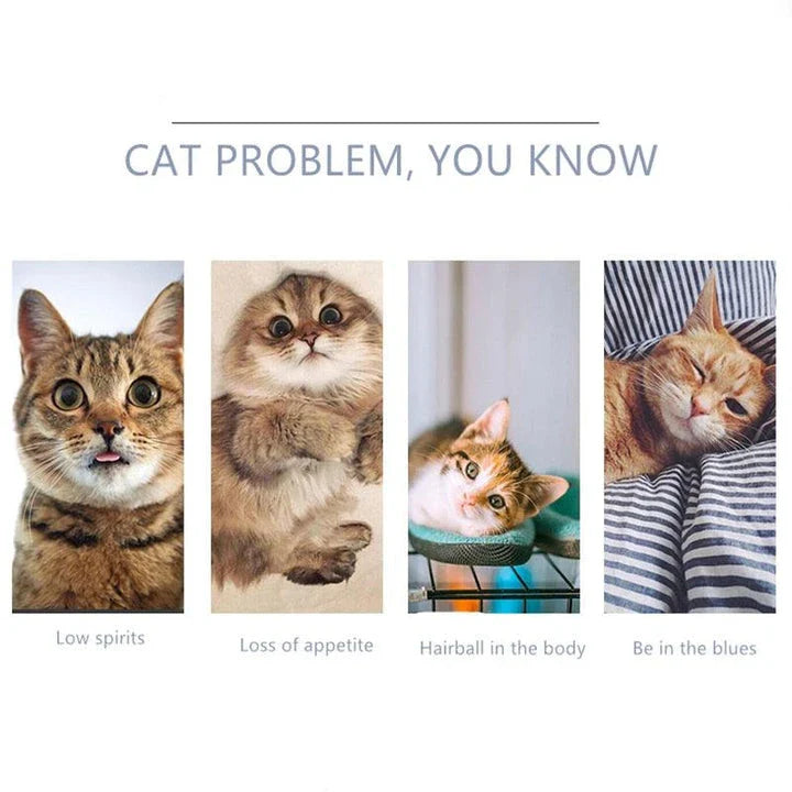 A kit containing all-natural catnip for interactive playtime and stimulation for cats