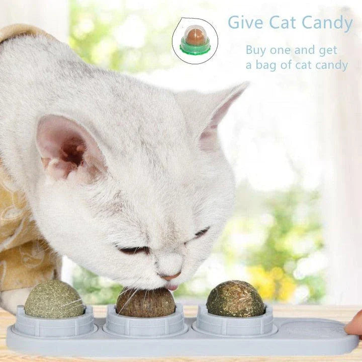 A kit containing all-natural catnip for interactive playtime and stimulation for cats