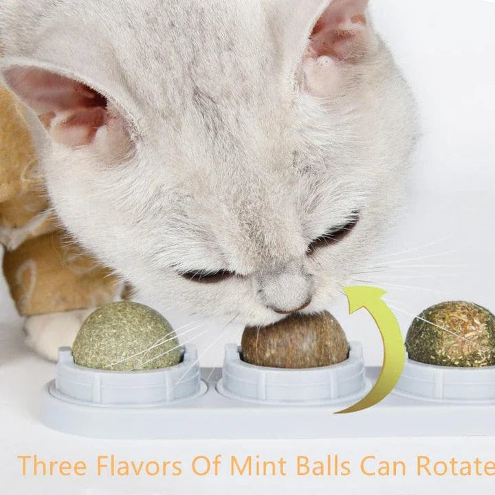 A kit containing all-natural catnip for interactive playtime and stimulation for cats