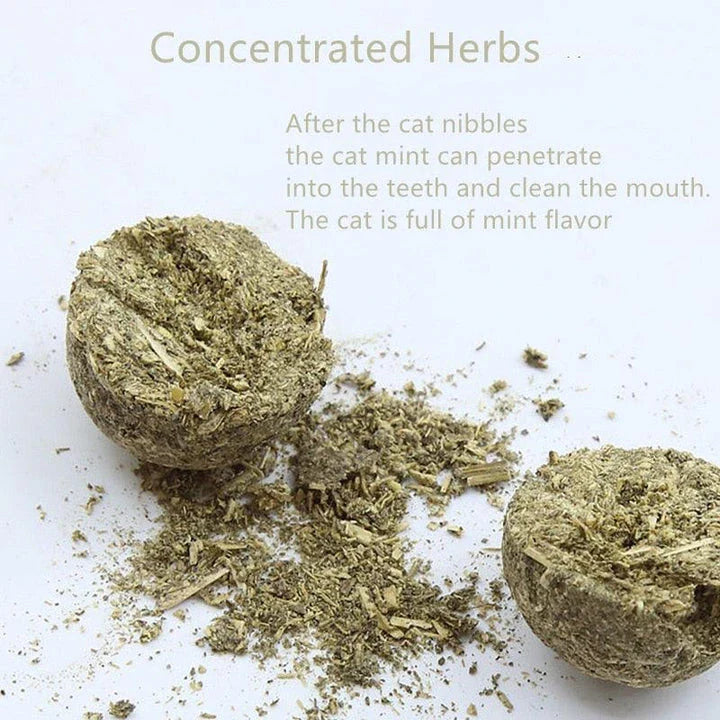 A kit containing all-natural catnip for interactive playtime and stimulation for cats