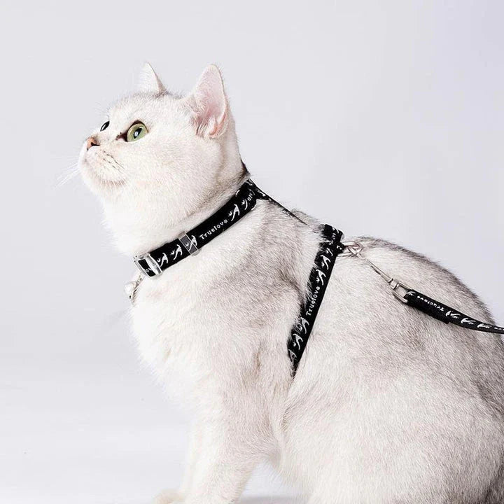 Cat H-Shape Harness and Leash Set in blue, made from 100% recycled materials for durability and eco-friendliness