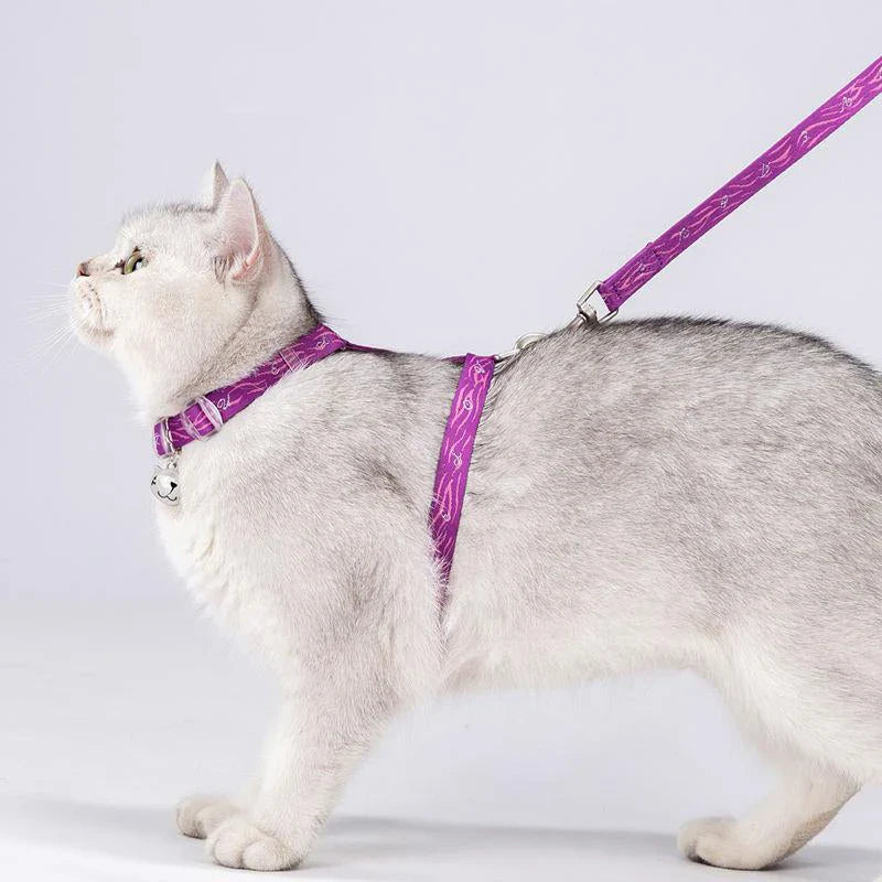 Cat H-Shape Harness and Leash Set in blue, made from 100% recycled materials for durability and eco-friendliness