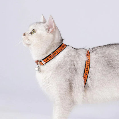 Cat H-Shape Harness and Leash Set in blue, made from 100% recycled materials for durability and eco-friendliness