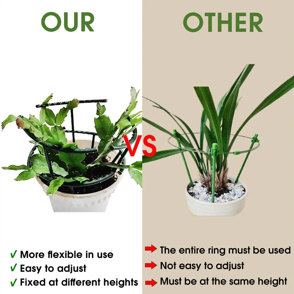 Greenhouse Plant Support Frame with sturdy T-shaped brackets and semi-circular design for supporting and guiding plant growth