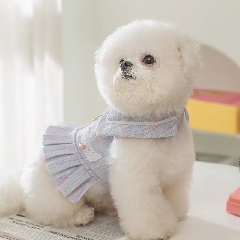 Salem purple or pink polyester pet clothing for a small dog or cat, showing the garment's fit.