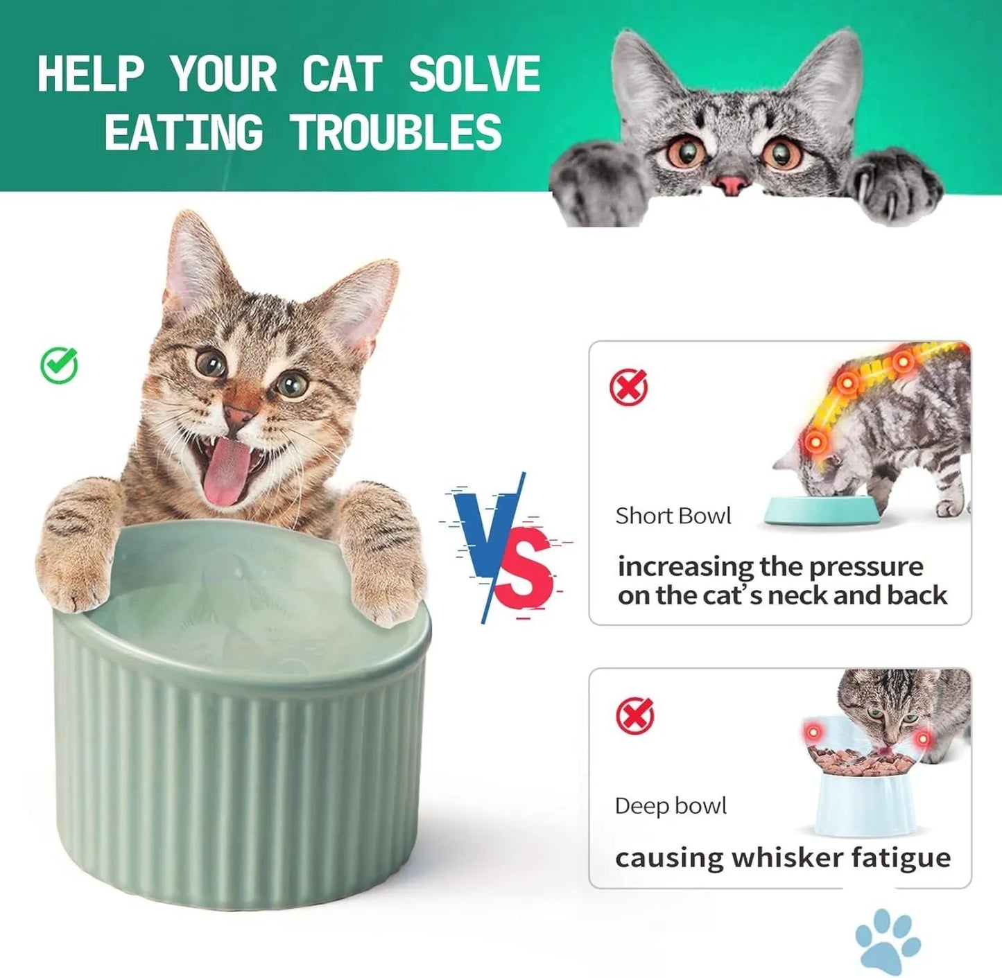 Ceramic raised cat bowl in light green, showing elevated tilted design for pet feeding.