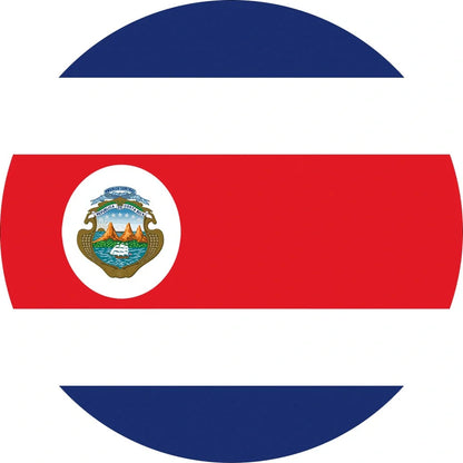 World Cup Qatar football themed biodegradable dishwashing sponges with national flag designs