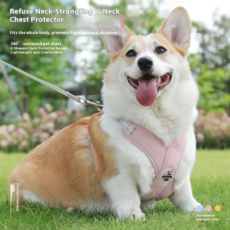 Adjustable pet vest with hand holding rope in blue, green, pink, or yellow colours