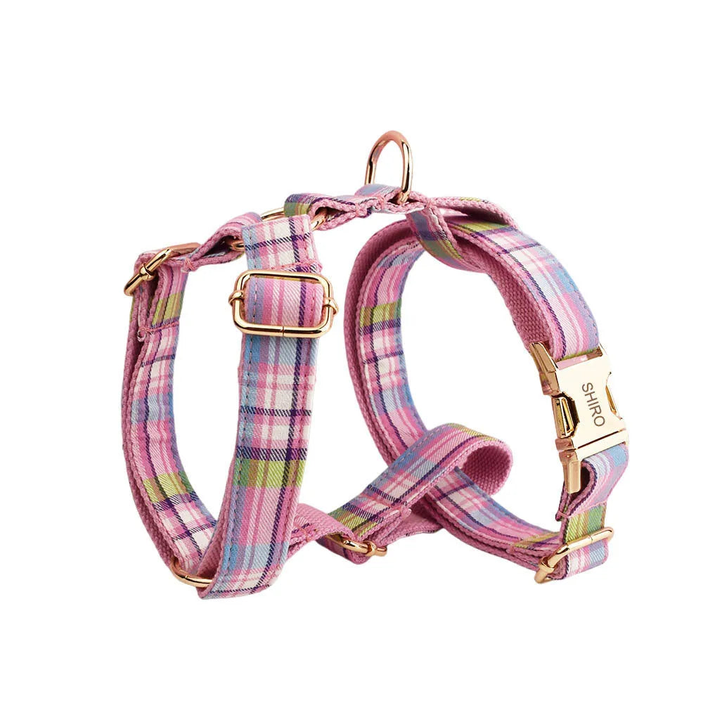 Four-piece dog accessory set showing adjustable collar, leash, mesh vest, and bow in coordinating colours