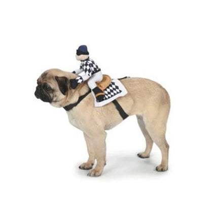 Pet wearing cartoon cowboy costume with knight-style design and matching hat, showing multiple colour options