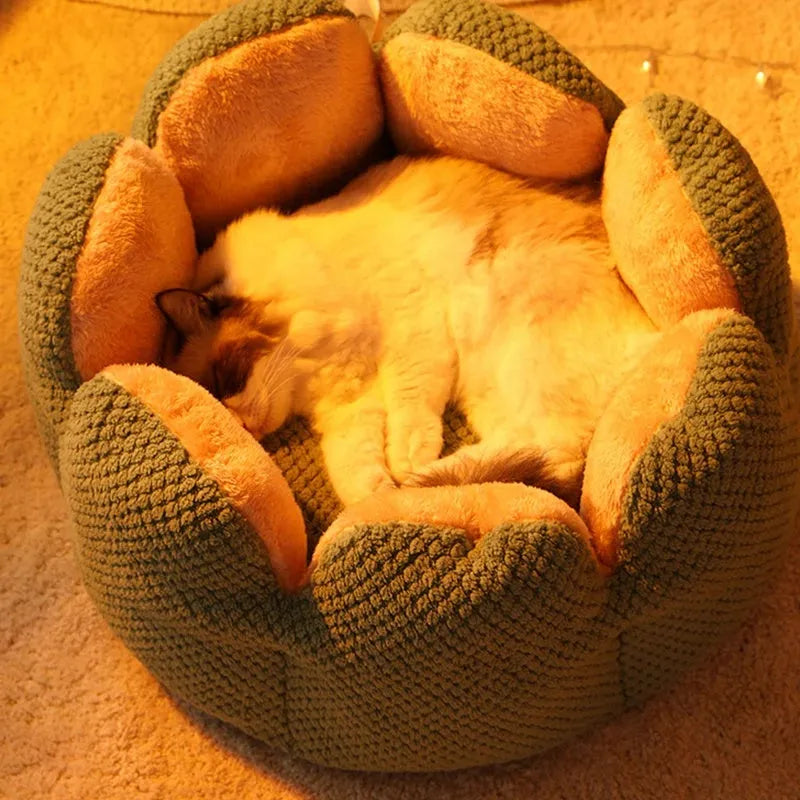 Green cactus petal shape pet bed for cats and dogs on a hardwood floor.