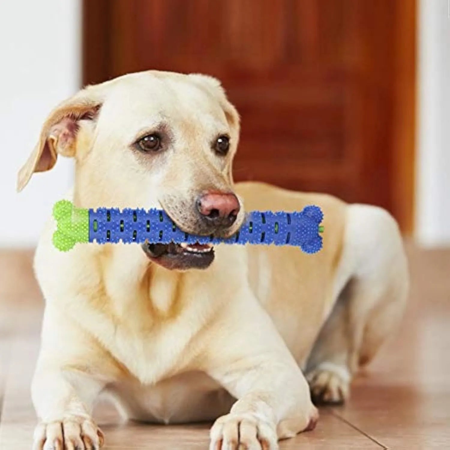 Blue Green Pet Molar Tooth Cleaner for dogs with serrated brush head and nodules, 25cm long
