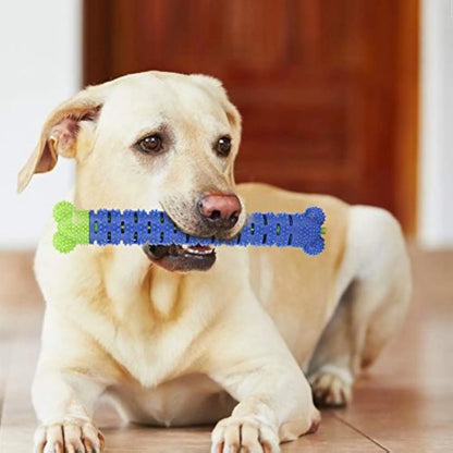 Blue Green Pet Molar Tooth Cleaner for dogs with serrated brush head and nodules, 25cm long