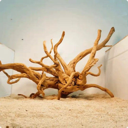 Natural wood Xiaoqi root aquarium decoration ornament resembling azalea root for fish tank scenery