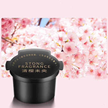 Stylish car diffuser air freshener with natural fragrance options for RVs, trucks, and sedans
