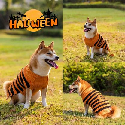 Halloween dog sweater in orange and black designs for small to XL dogs