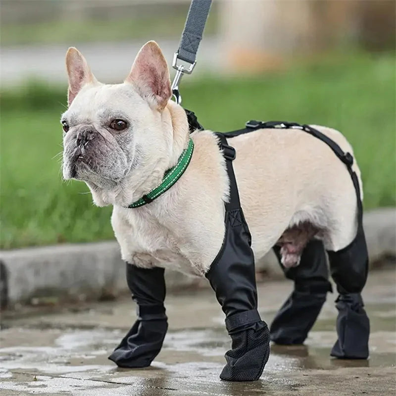 Adjustable waterproof dog boots with non-slip soles for outdoor protection
