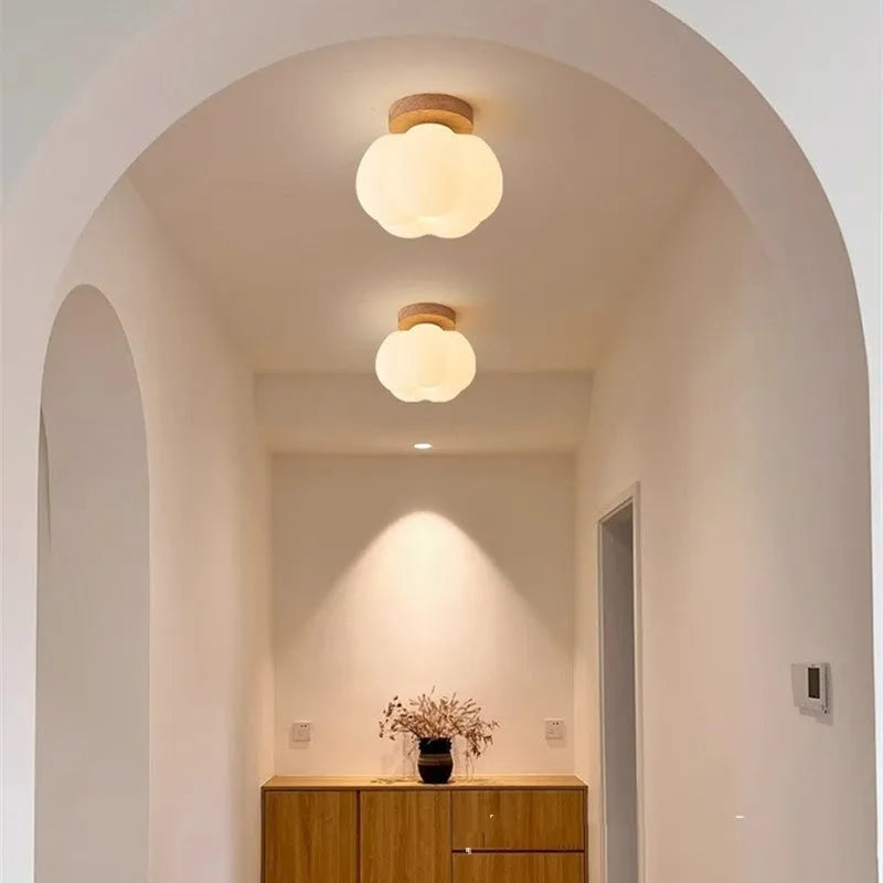Surface mounted or concealed LED ceiling lamp with iron body and PVC shade for living room, entrance, or corridor