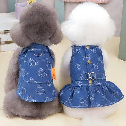 Teddy Bichon dog wearing denim princess dress with bracket skirt detailing