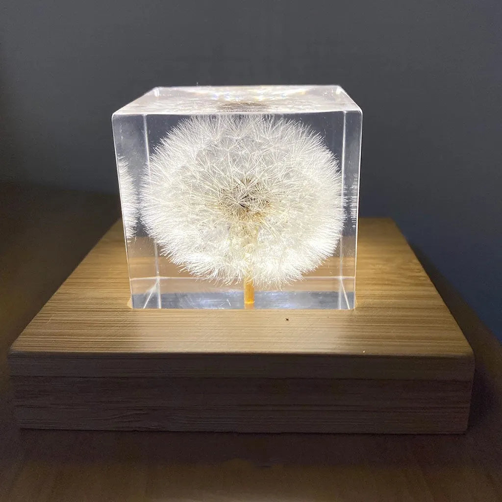 Clear 5cm resin cube with preserved dandelion flower inside, displayed with wooden box and USB charging base