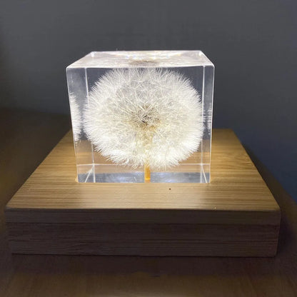 Clear 5cm resin cube with preserved dandelion flower inside, displayed with wooden box and USB charging base