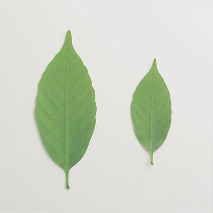 Temperature-Sensitive Color-Changing Leaf Bookmark with Seasonal Transformations