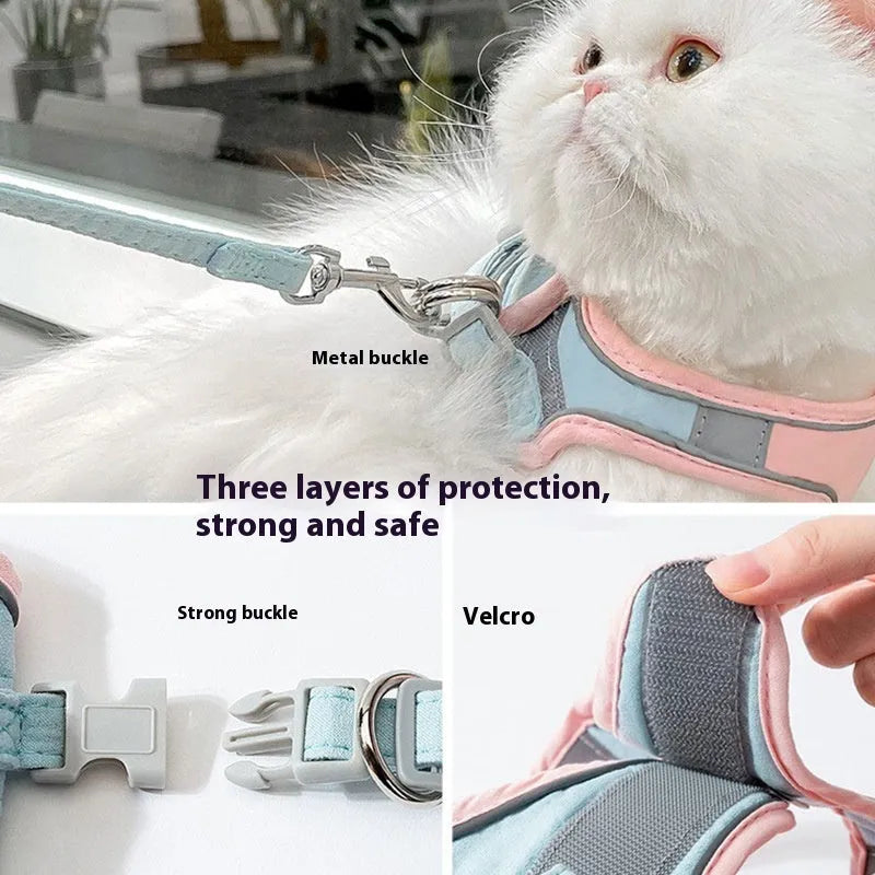 Blue and orange stitched cat harness with reflective chest strap and 1.5 metre rope