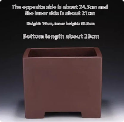 Square purple clay succulent bonsai pot with classical design on wooden table