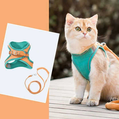 Blue and orange stitched cat harness with reflective chest strap and 1.5 metre rope
