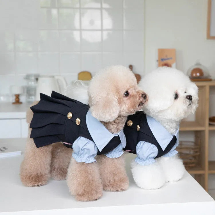 Dark grey teddy bear style dog clothing on pet model showing full coverage design