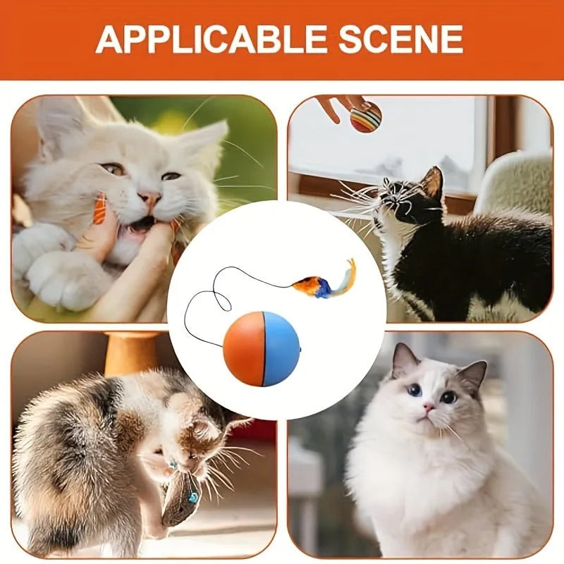 Interactive cat toy ball with blue and orange plush mouse measuring 8.5cm × 8.5cm × 9cm