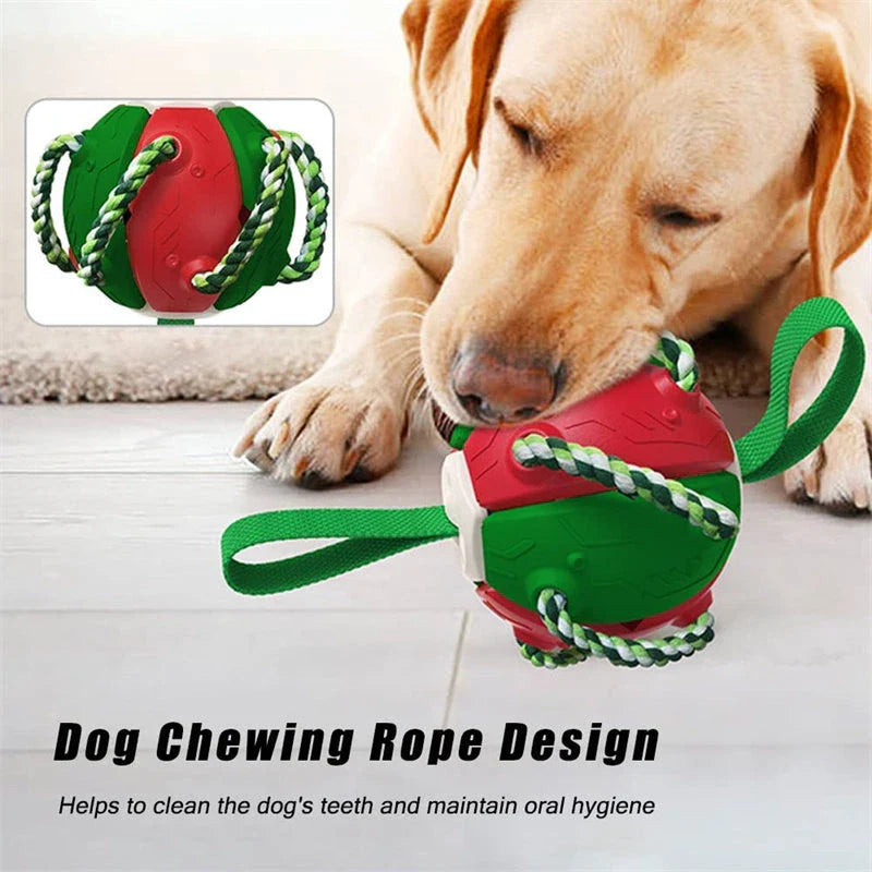 Transforming dog toy that can switch between a ball and frisbee shape, featuring durable construction and interactive play features