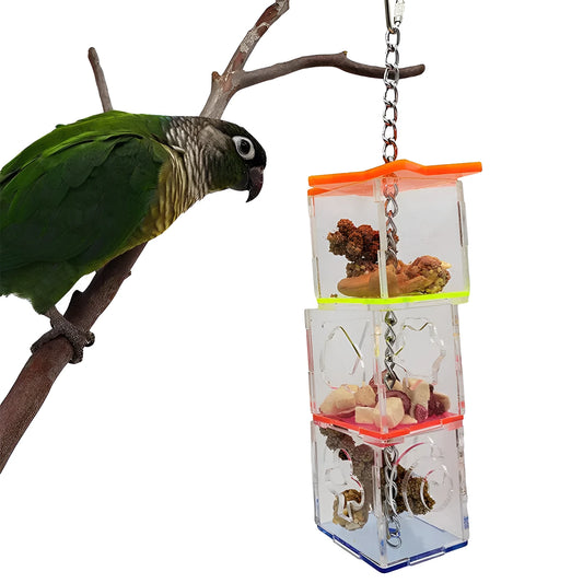 Clear acrylic bird foraging toy for parrots, 32cm tall food container.