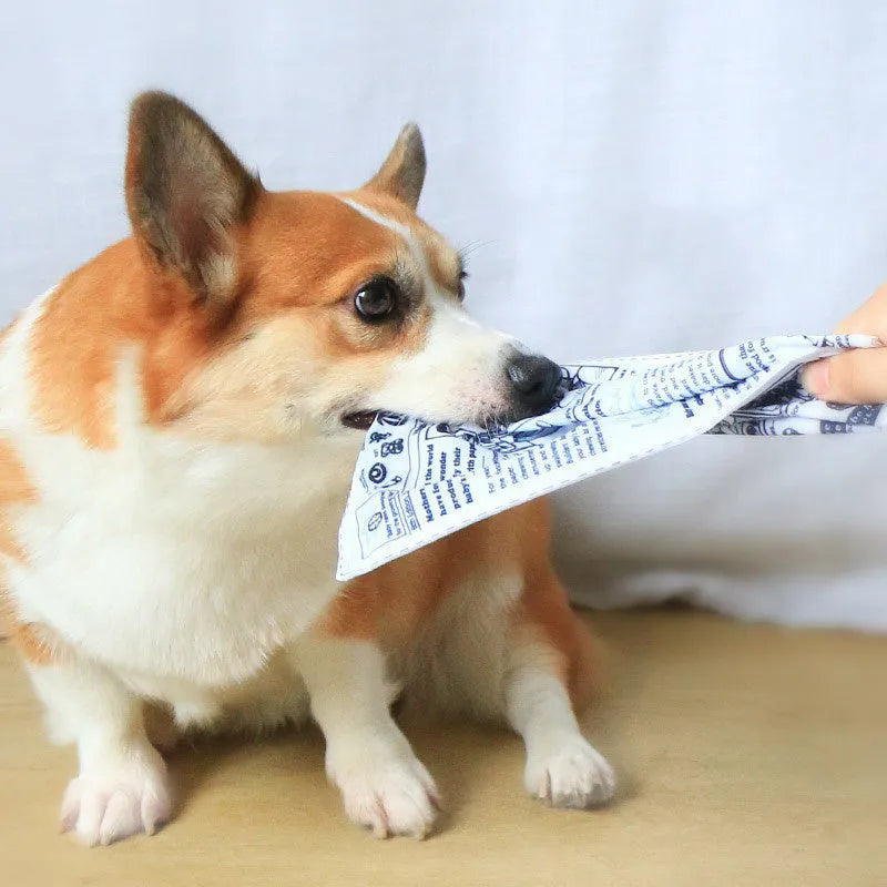 Tearproof squeaking dog toy with printed newspaper and playing card designs