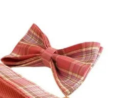 Plaid cloth dog collar and leash set with bow and vest for special occasions