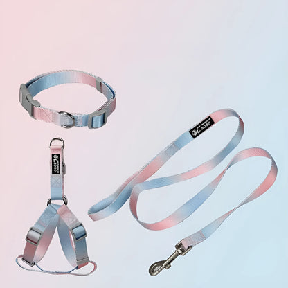 Gradient colour nylon dog leash showing pink-blue colour transition with metal attachment clip
