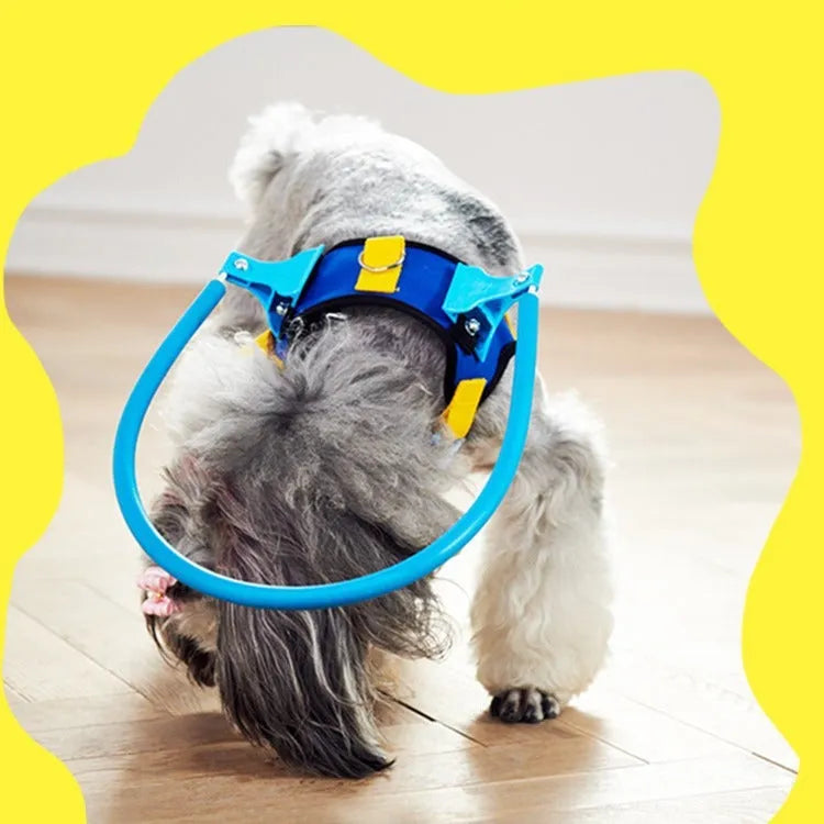 Blue adjustable anti-collision safety ring for dogs, shown on a neck model.