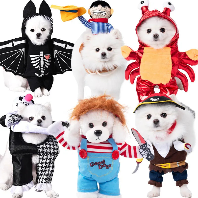 Halloween dog costume example in size M, showing the Bat Suit design made from polyester fabric.