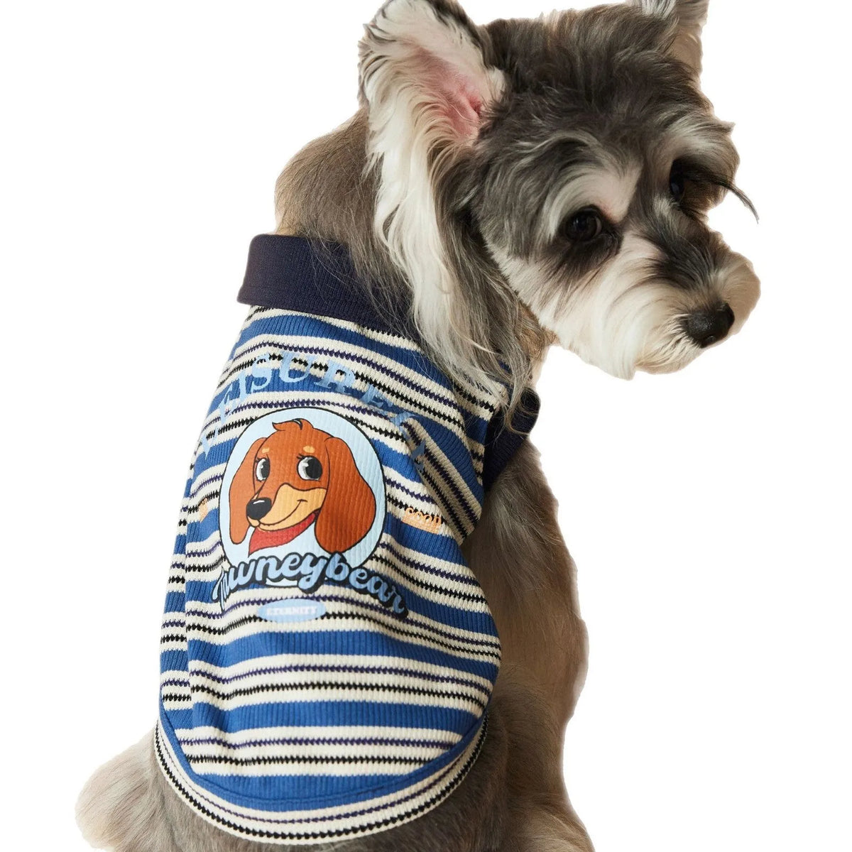 Tony Bear dog striped polo shirt in cotton, blue or brown, sizes XS to XXL, casual pet clothing