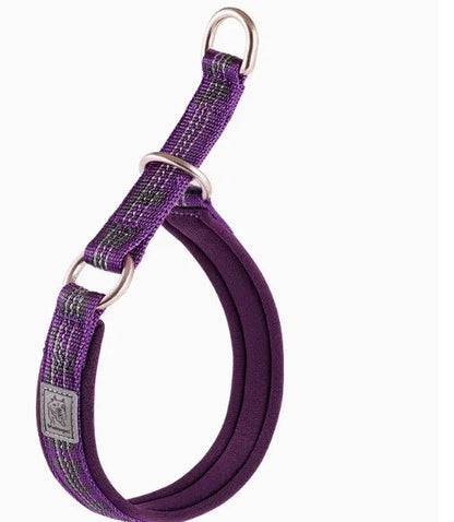 Nylon and aluminium alloy dog walking collar shown in army green colour, with sizing chart for dogs 2-70kg.