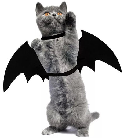 Adjustable black bat wing costume for pets, perfect for Halloween