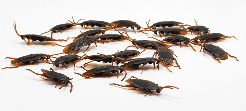 Realistic Halloween plastic cockroach prank toy, 7CM in length, brown color